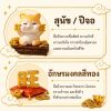 ฟิกเกอร์ สุนัขน้อยปีจอ ถืออักษรมงคล โมเดล นักษัตร เสริมโชคลาภ เรียกทรัพย์ Art Toy ของเล่น
