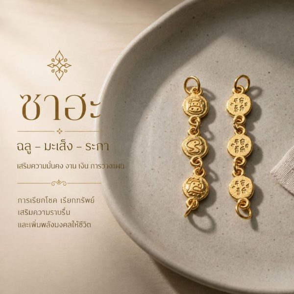 จี้ซาฮะนักษัตร เสริมดวงปีเกิด เครื่องรางจีน จี้ข้อมือ ของขวัญมงคล Mooniverse